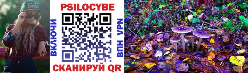 hydra как войти  цена   Озёры  Псилоцибиновые грибы ЛСД 